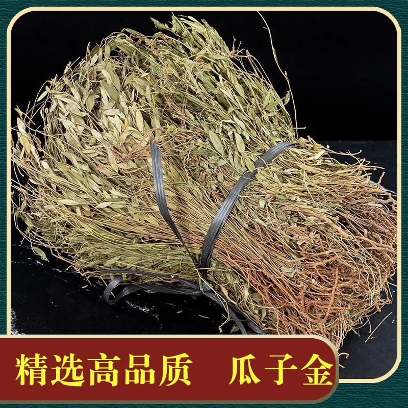 野生瓜子金 正品来马回 勒马回 惊风草整棵干净新鲜干货非牛膝