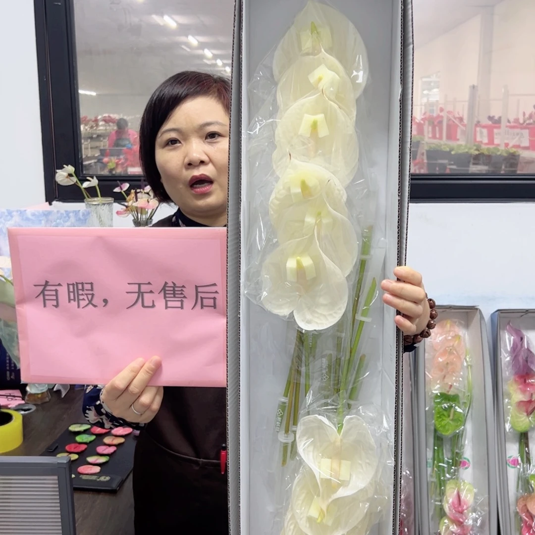 完全开放白掌-12枝装无售后款！！