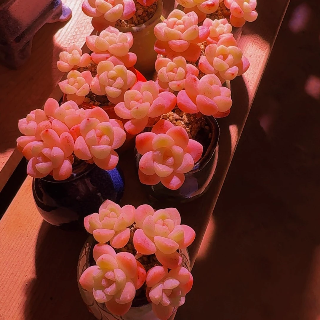 .哈哈哈哈哈哈哈哈哈