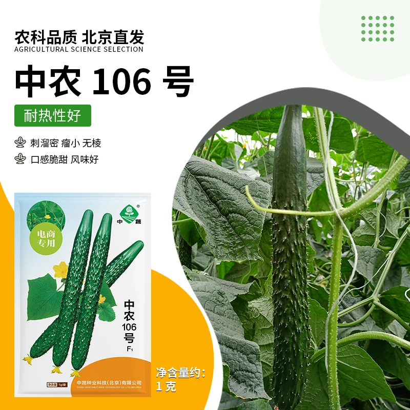 【农科院】耐热长黄瓜种子春夏秋刺黄瓜种子阳台盆栽蔬菜种子水黄瓜