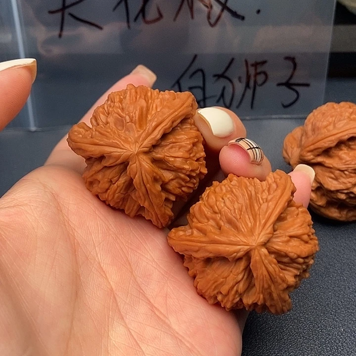 大叶紫檀（黑酸枝木类）白狮子