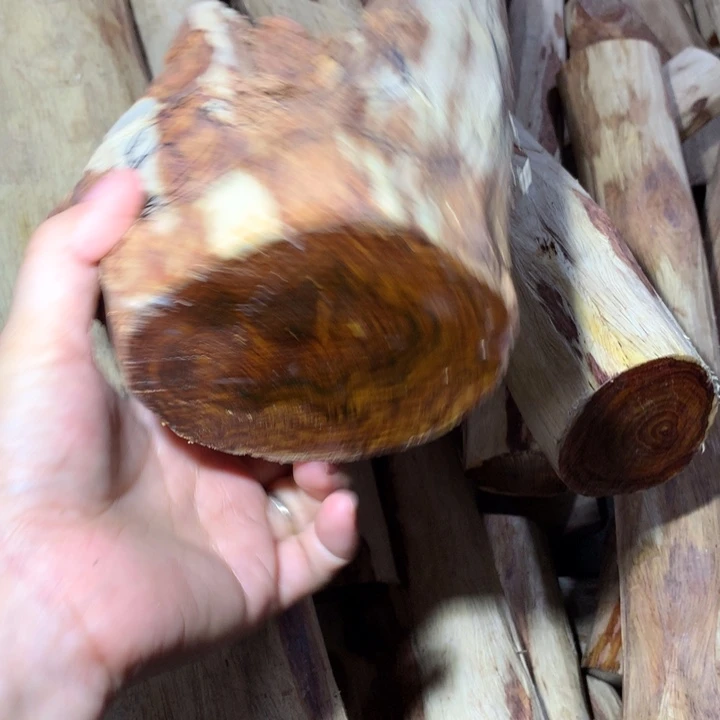 花梨木类海南黄花梨