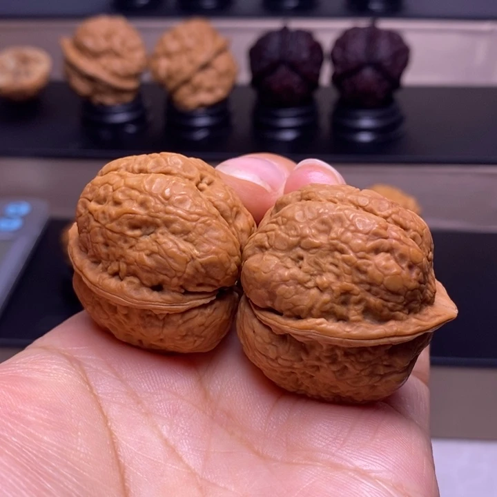 把件文玩核桃琥珀金蟾48
