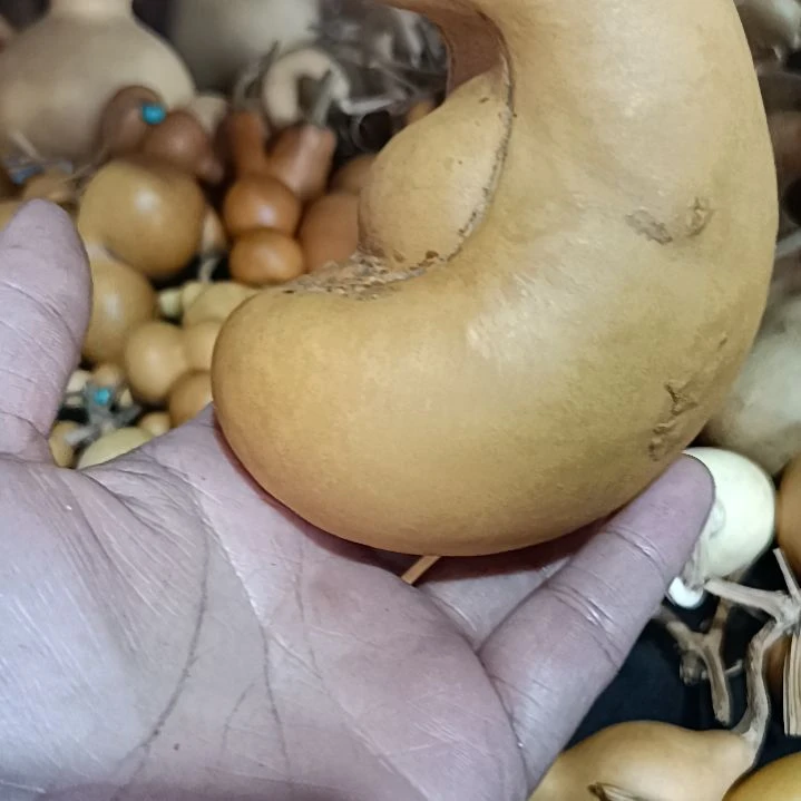 赞****店回来哈哈哈哈哈