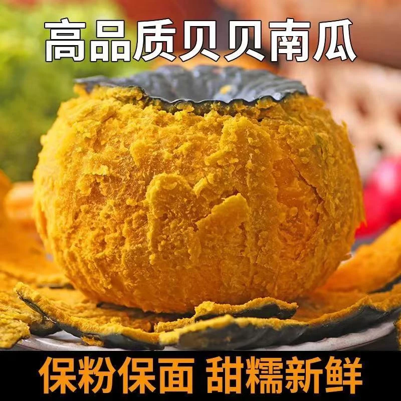 山东正宗贝贝小南瓜粉糯香甜板栗味口感绵软可代餐粗粮