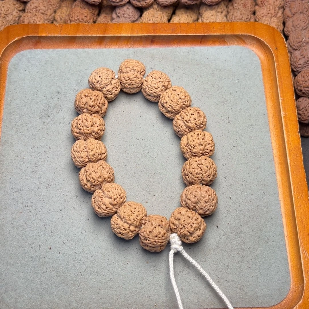 菩提15号金刚菩提梅花梁21