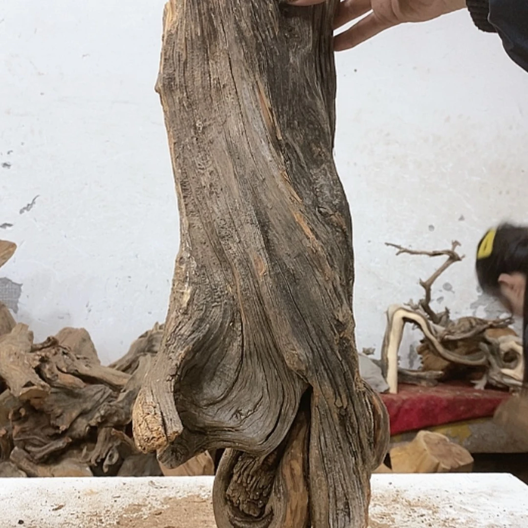 【闪购商品】柏木7*7我们都是好孩子