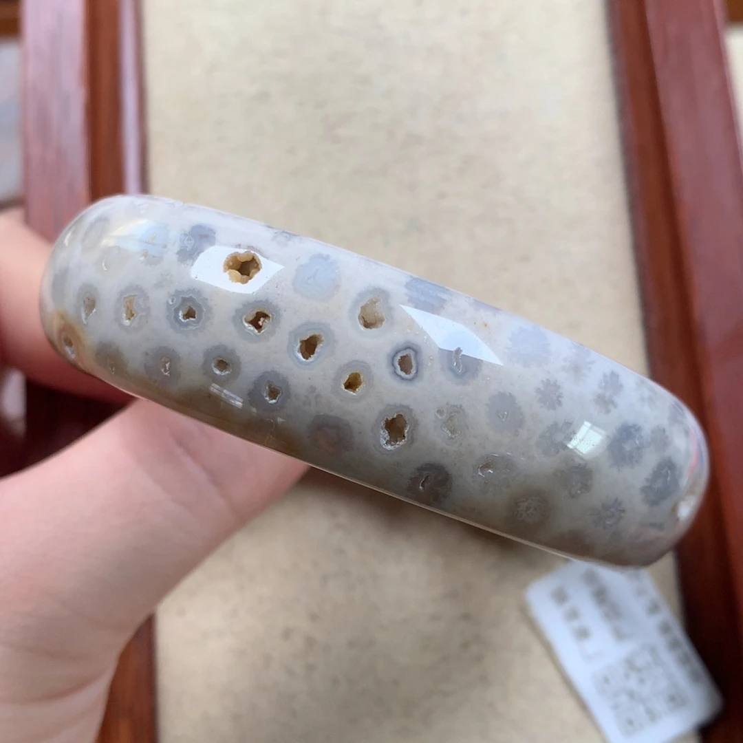 未镶嵌晶洞共生57圈漏200/个。01硅化珊瑚（珊瑚玉）