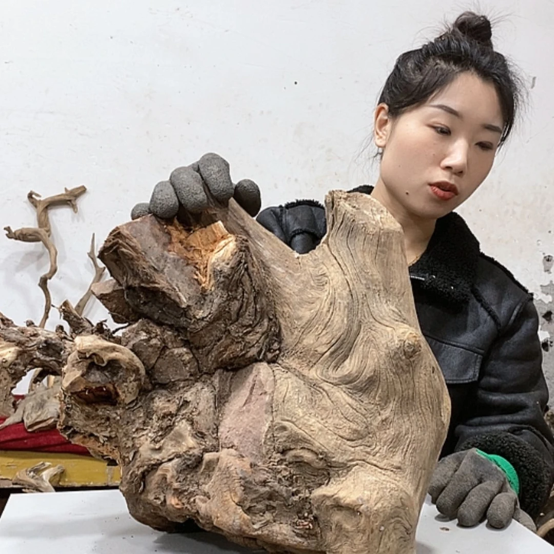 【闪购商品】柏木上****啦我们都是好孩子