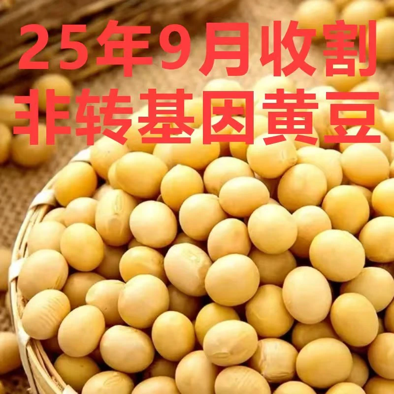 2025年新上市非转基因黄豆5斤*件净重有非转基因报告检测