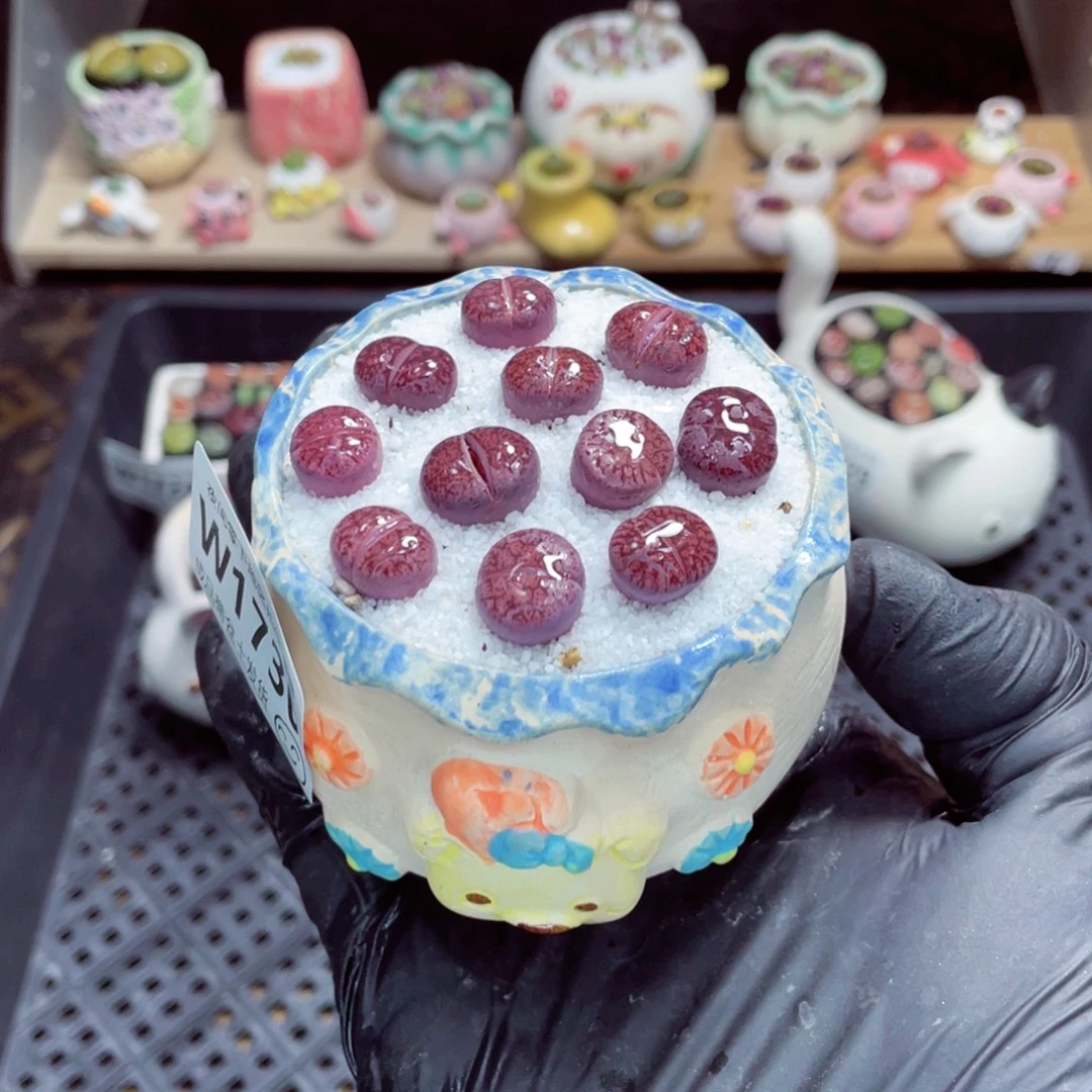 夜间零下地区拍保温箱w1730