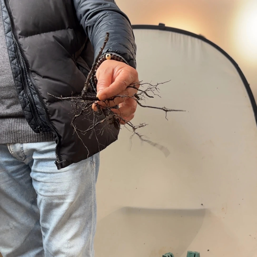 ****创哈哈哈哈哈1627哈哈哈