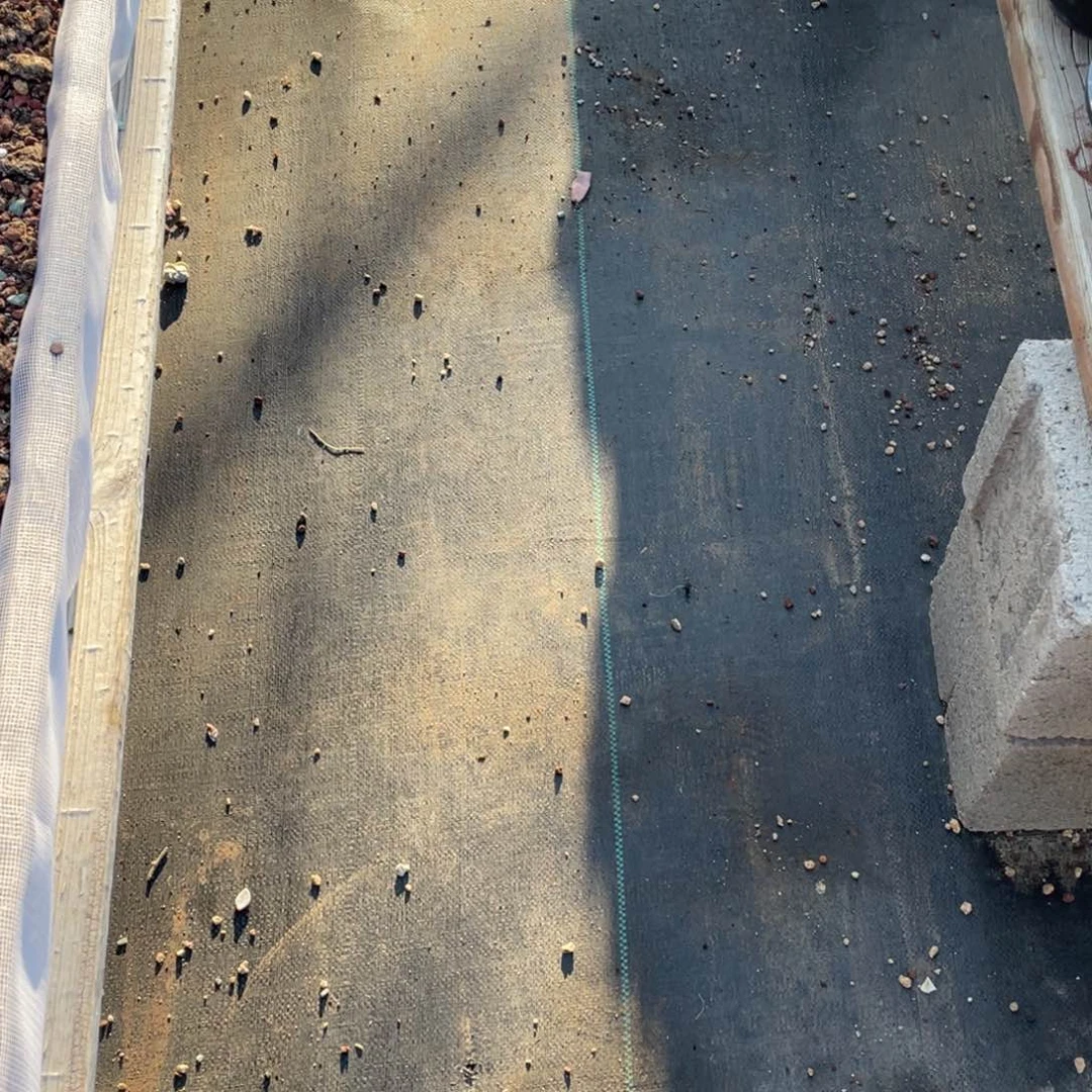 团*呀汤圆群生尾款30