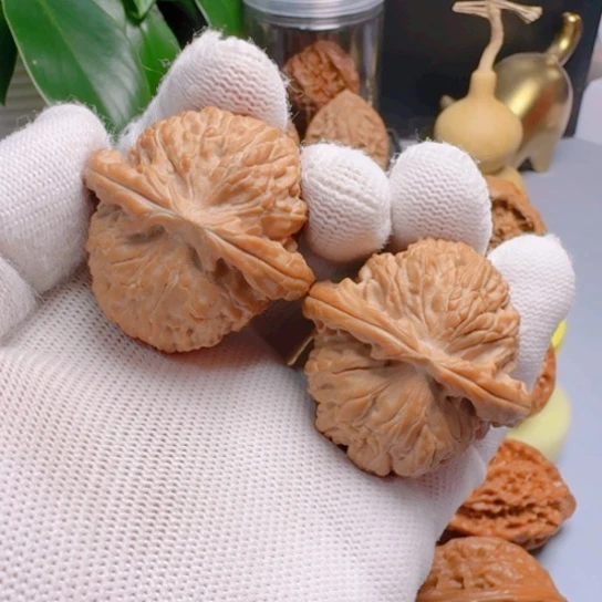 核桃精品白狮子文玩