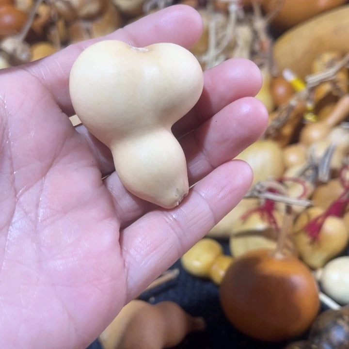 红***葫芦葫哈哈哈哈哈哈