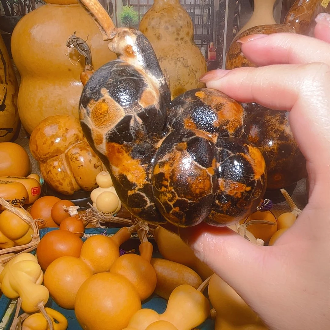 嬉***女葫芦呀呀呀呀呀呀呀啊呀呀呀呀