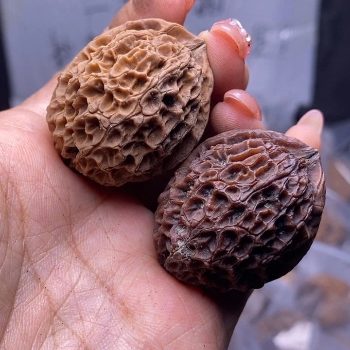 把件文玩核桃云南野生铁核桃192号36mm