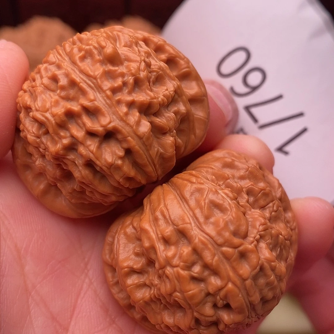 把件文玩核桃37白狮子