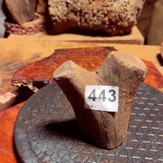 大果紫檀（缅甸花梨）