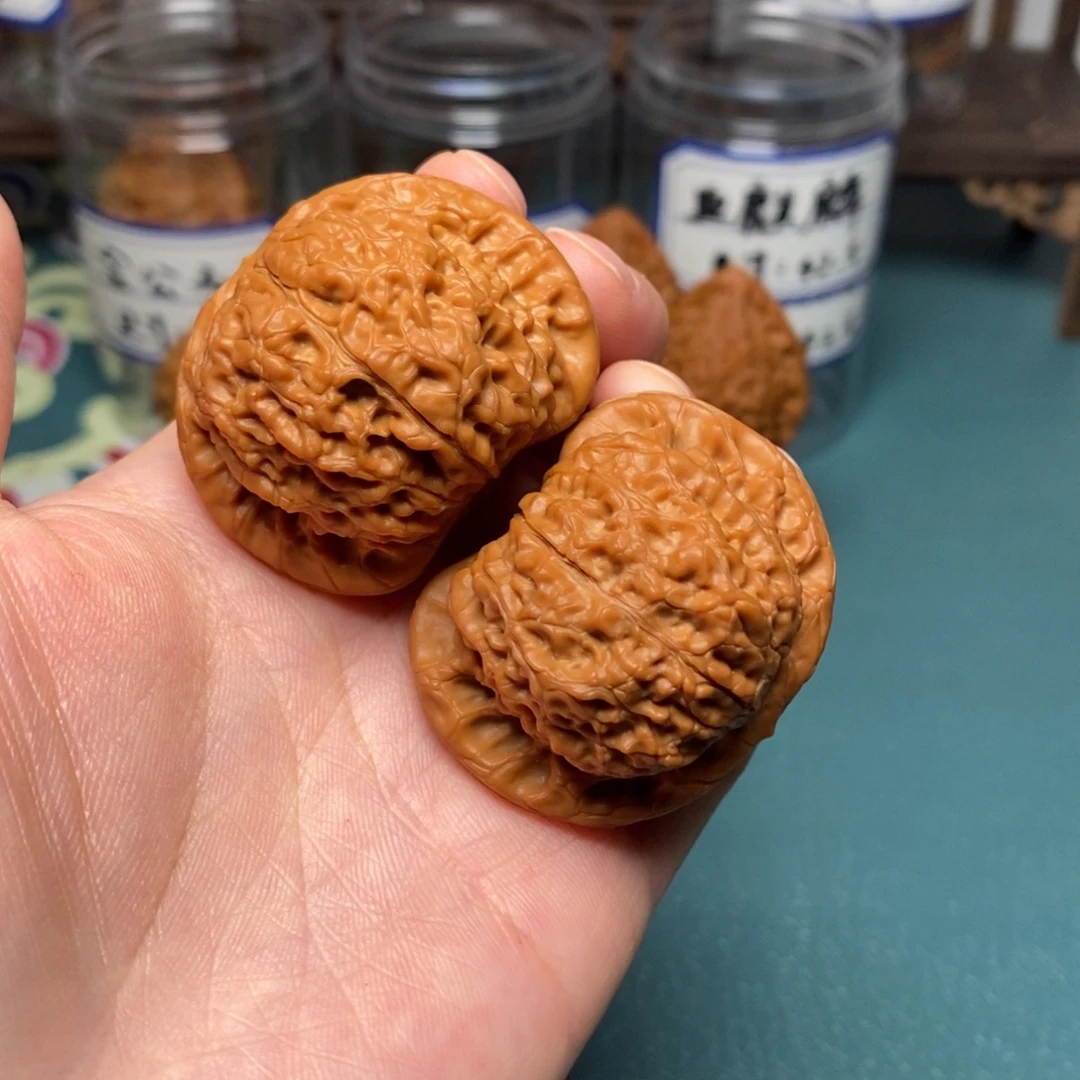 核桃42尺全品血麒麟