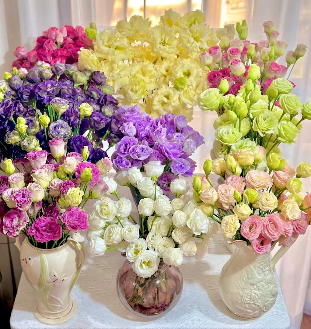 混搭洋桔梗 【小谈鲜花】