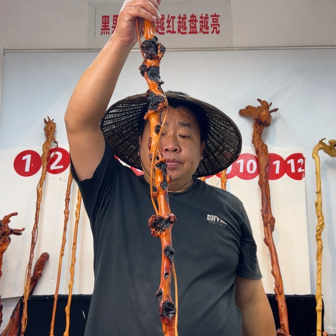 佰***达黑果木其他黑果木455