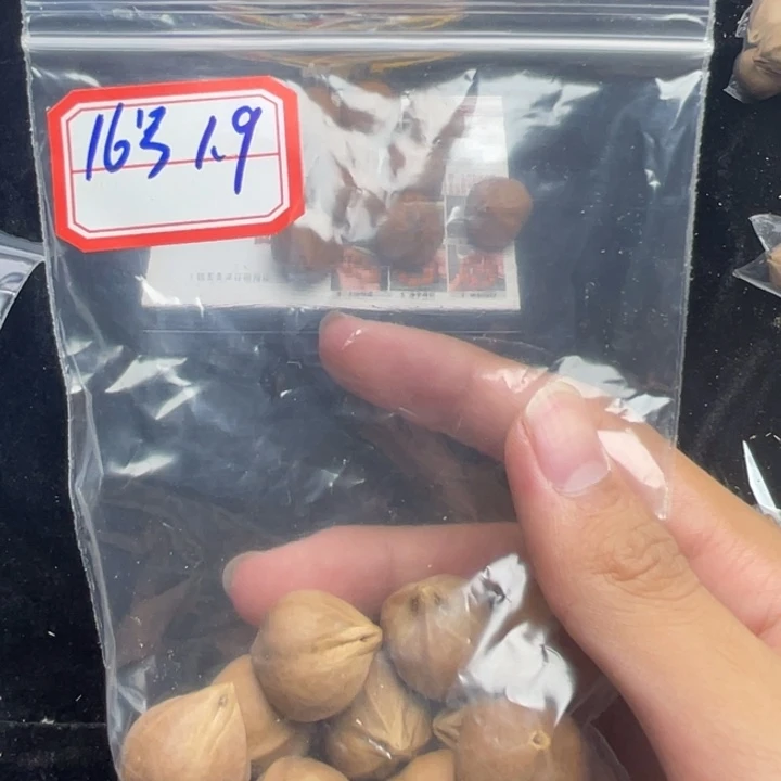 手串/手链橄榄核1.9