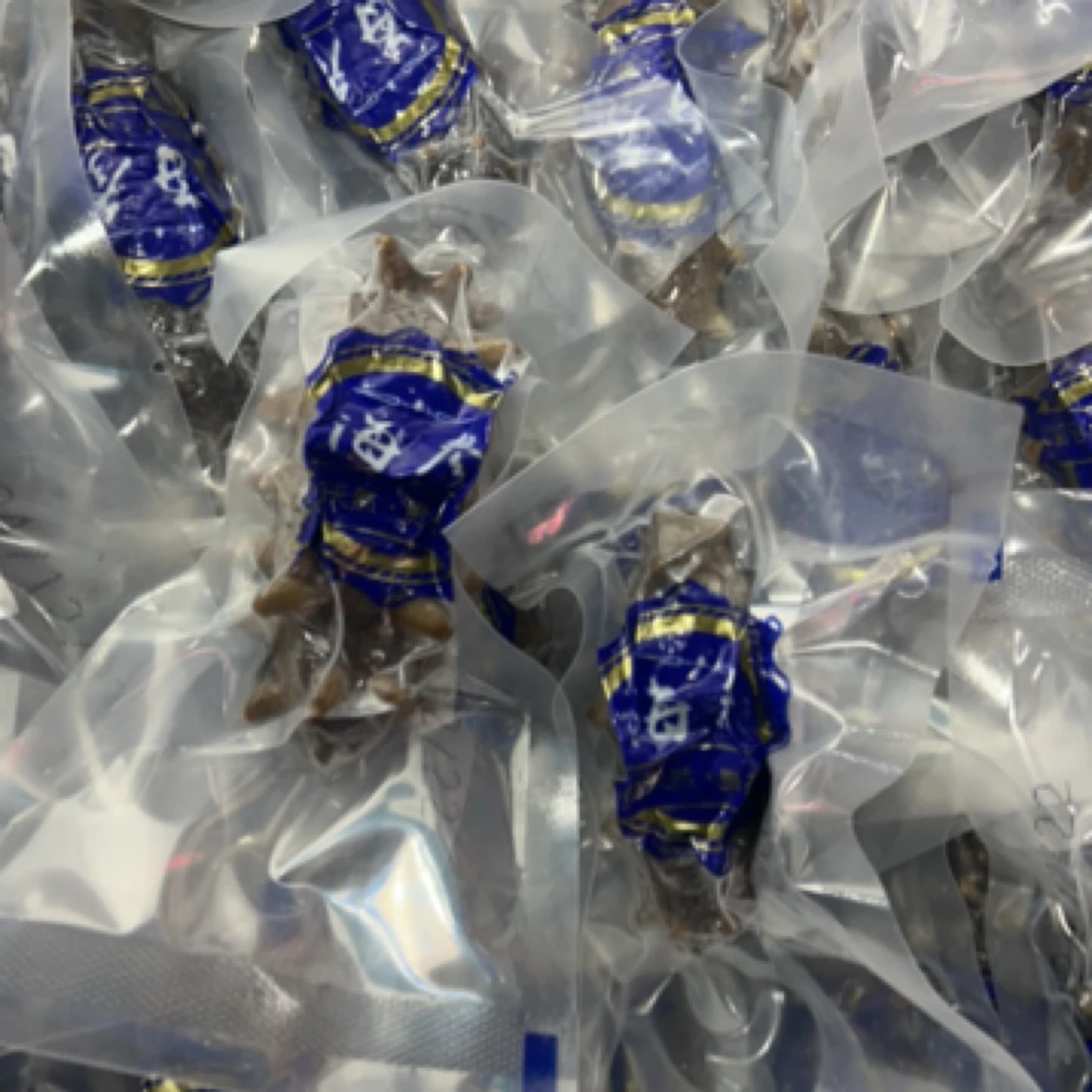 【大连即食海参】1只30g