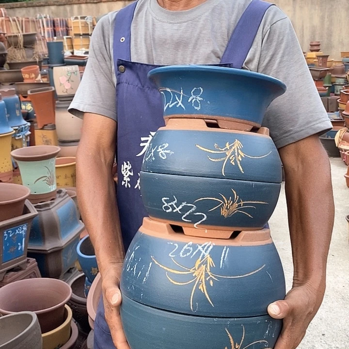 紫砂花盆紫砂花盆盆栽植物花卉苗木种植