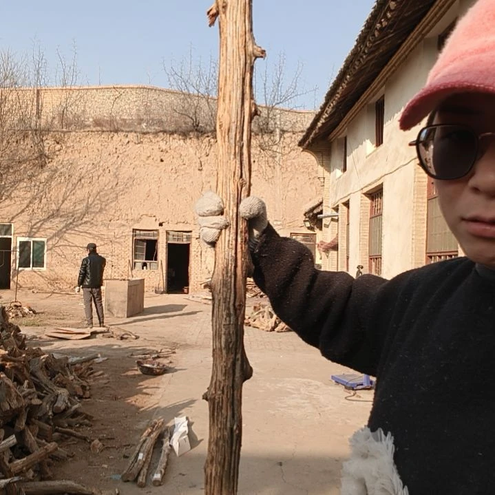 砖雕滁****市开春福利开场捡漏