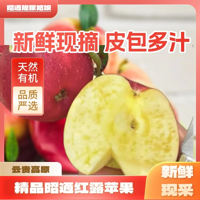 云南昭通冰糖心红露苹果5斤/10斤装新鲜正宗