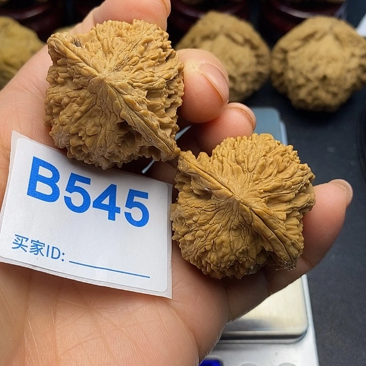 核桃满天星4.0，漫天星