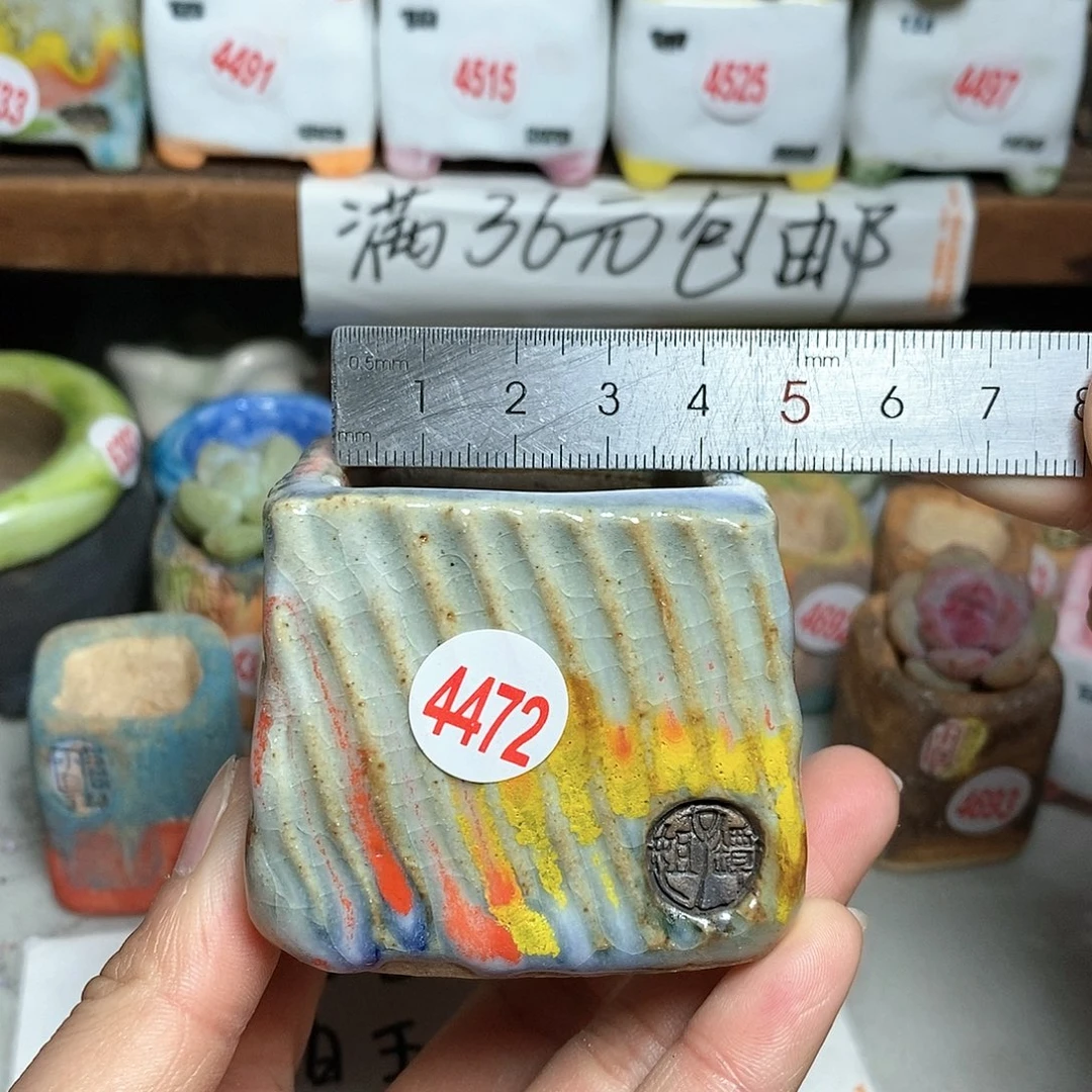 红陶拍5送一个小