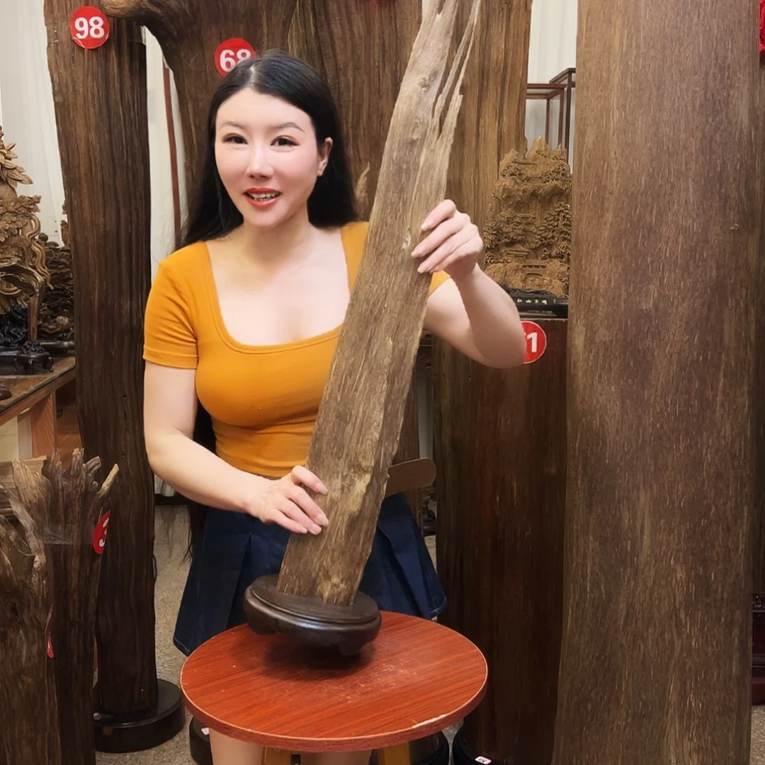 沉香碎屑沉香沉香原材料