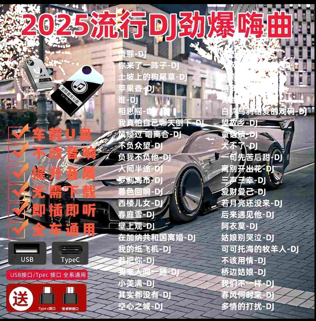 抖音新歌劲爆DJ嗨曲车载音乐U盘2025热门中文dj无损高音质音乐U盘