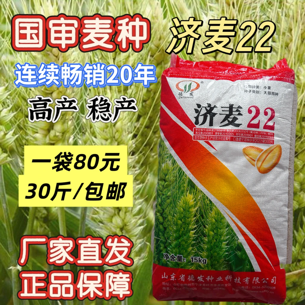 国审济麦22纯度高品质一袋30斤稳产高产小麦种子