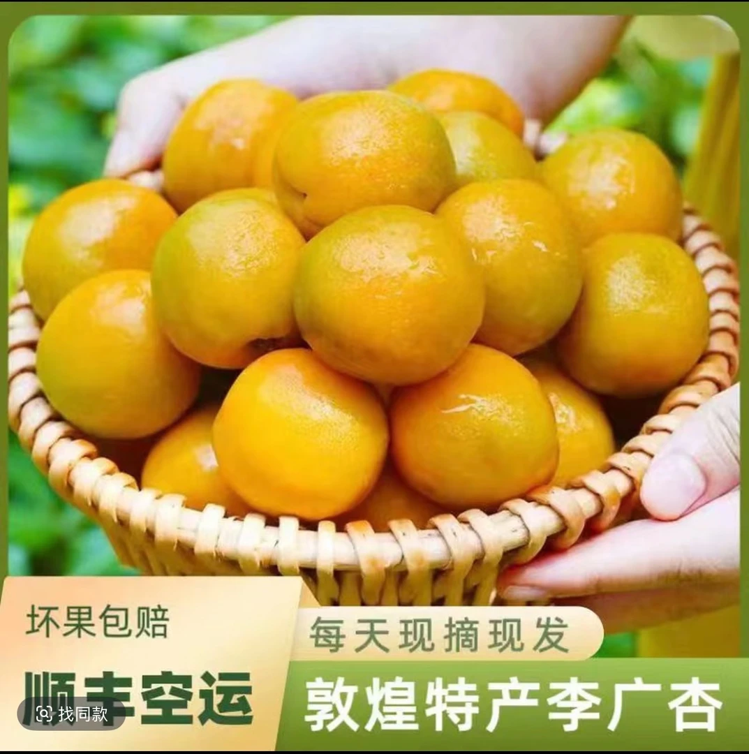 [敦煌李广杏]超甜大果杏子现摘现发鲜甜多汁1斤/3斤/5斤顺丰空运