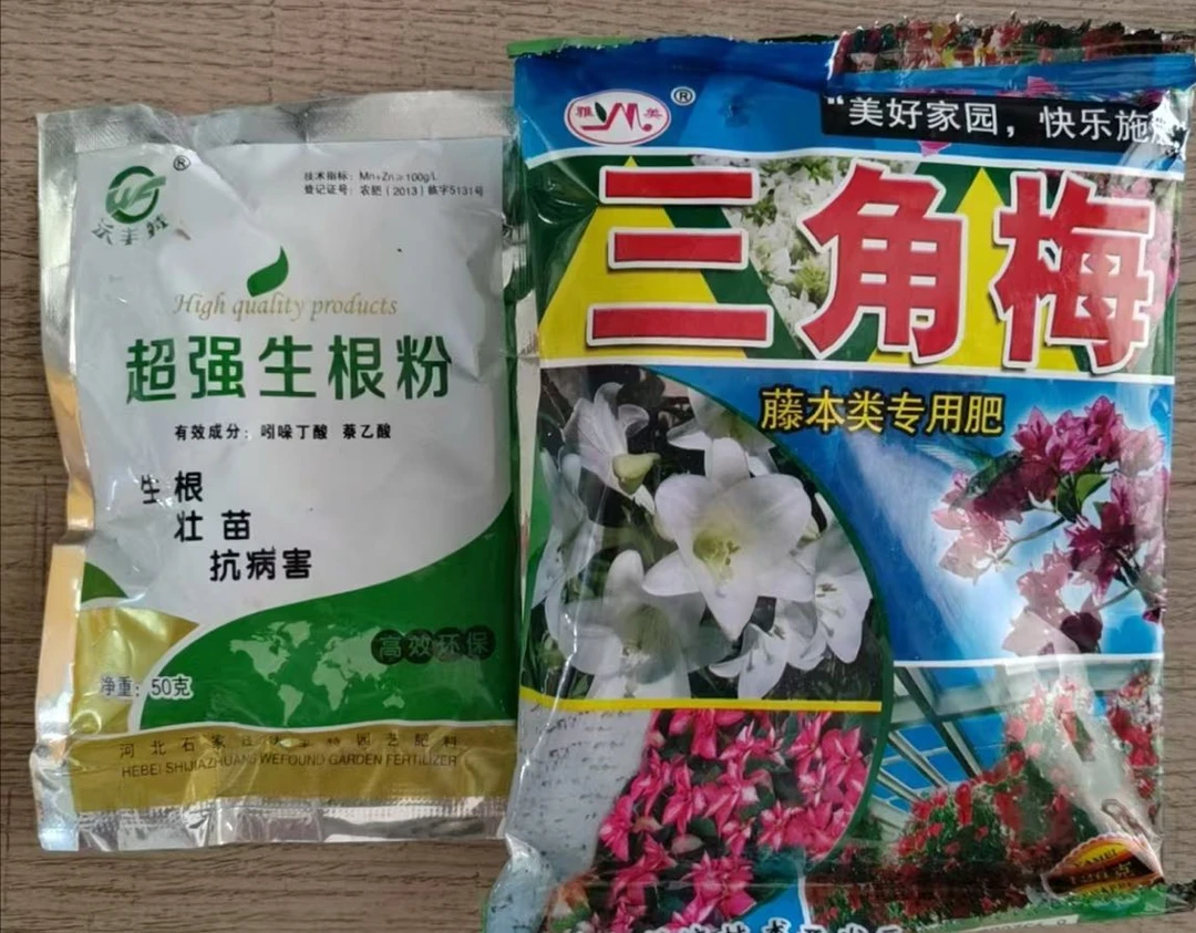 新疆包邮三角梅专用生根粉+三角梅专用肥