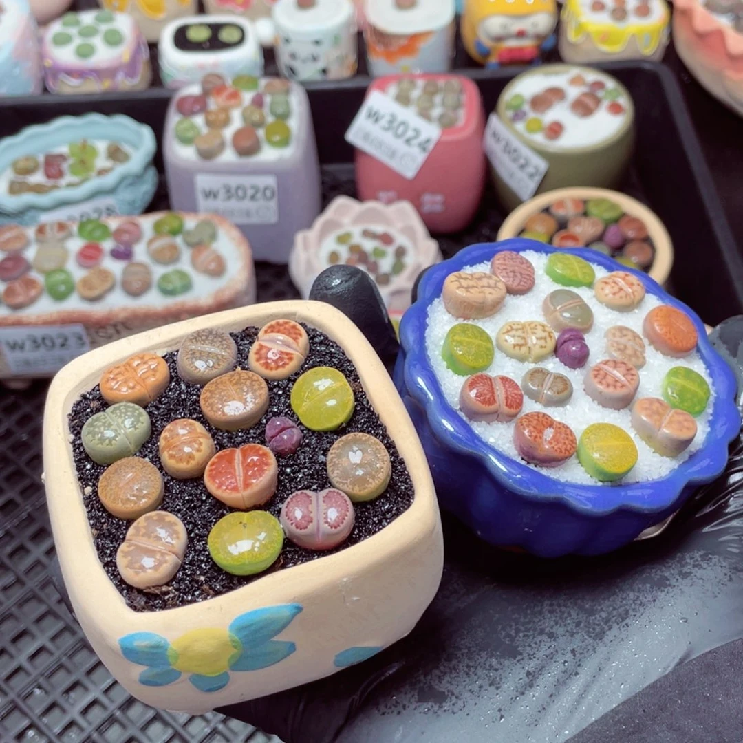 w3029--带盆土发货，零下地区拍保温箱