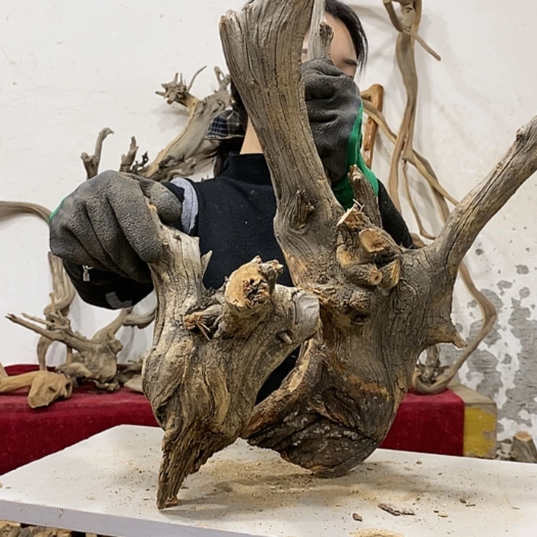 【闪购商品】柏木上****啦我们都是好孩子