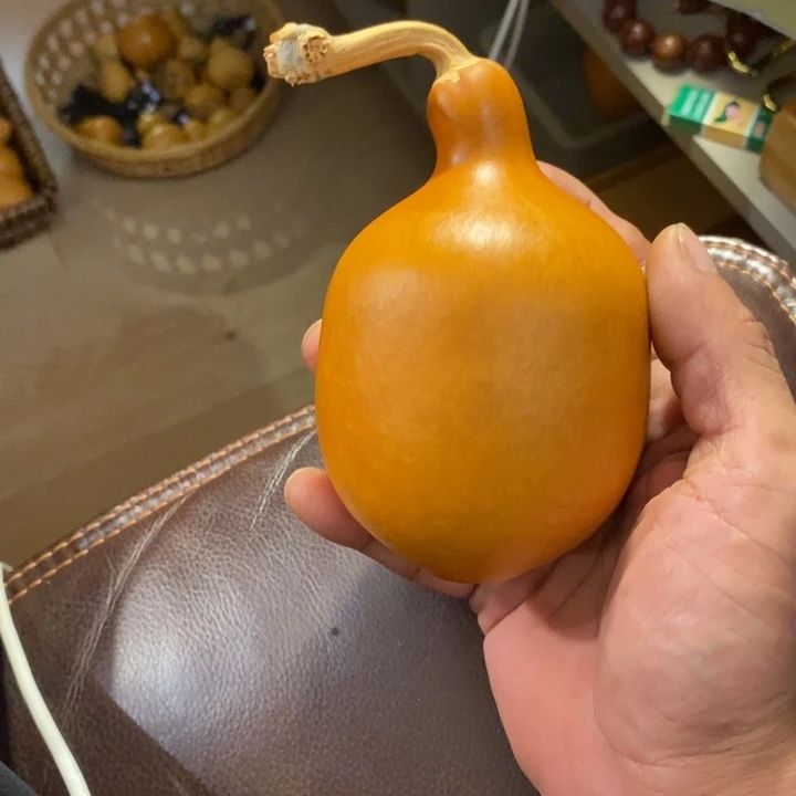 胖胖葫芦，一葫一拍