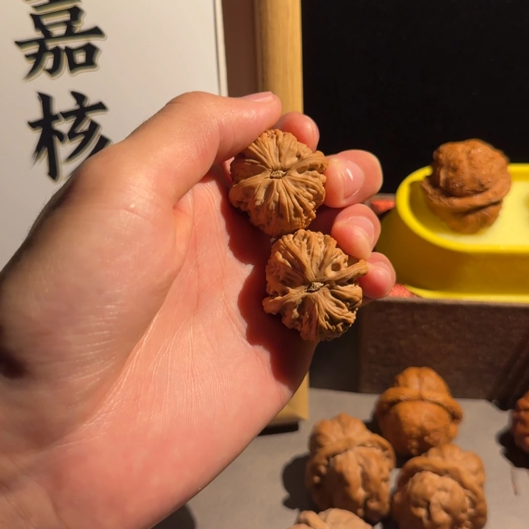 ⁾***y核桃32极品小白狮子 打底盘玩后不退不换