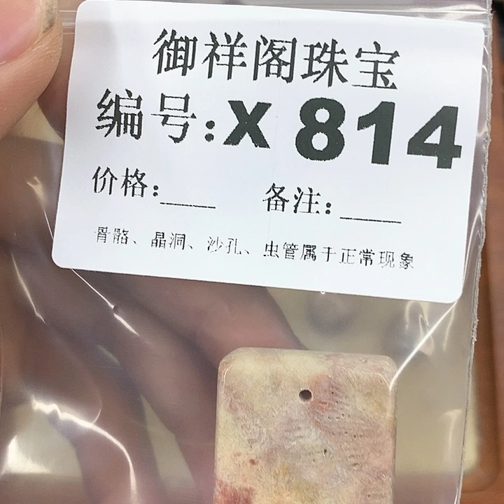 硅化珊瑚（珊瑚玉）颈饰未镶嵌飘