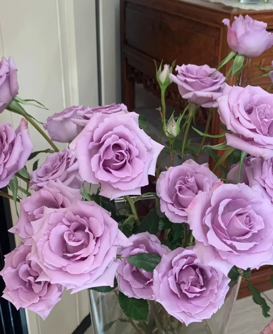 紫玫瑰组合客厅卧室浪漫高级花束38女神节必买鲜花昆明基地直发