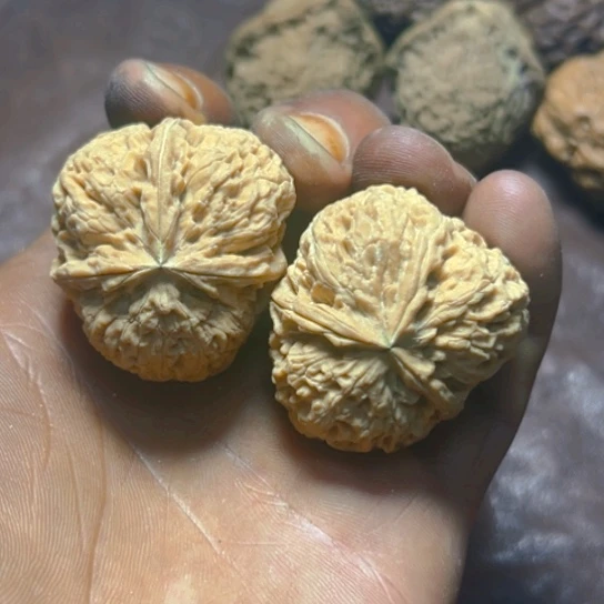 把件文玩核桃卡38珊瑚三巷有修39号
