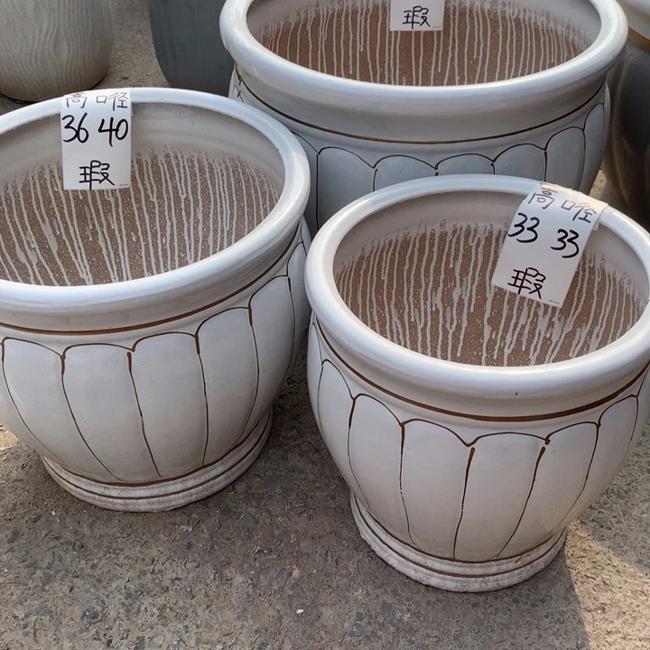 花盆里的小猫咪们都