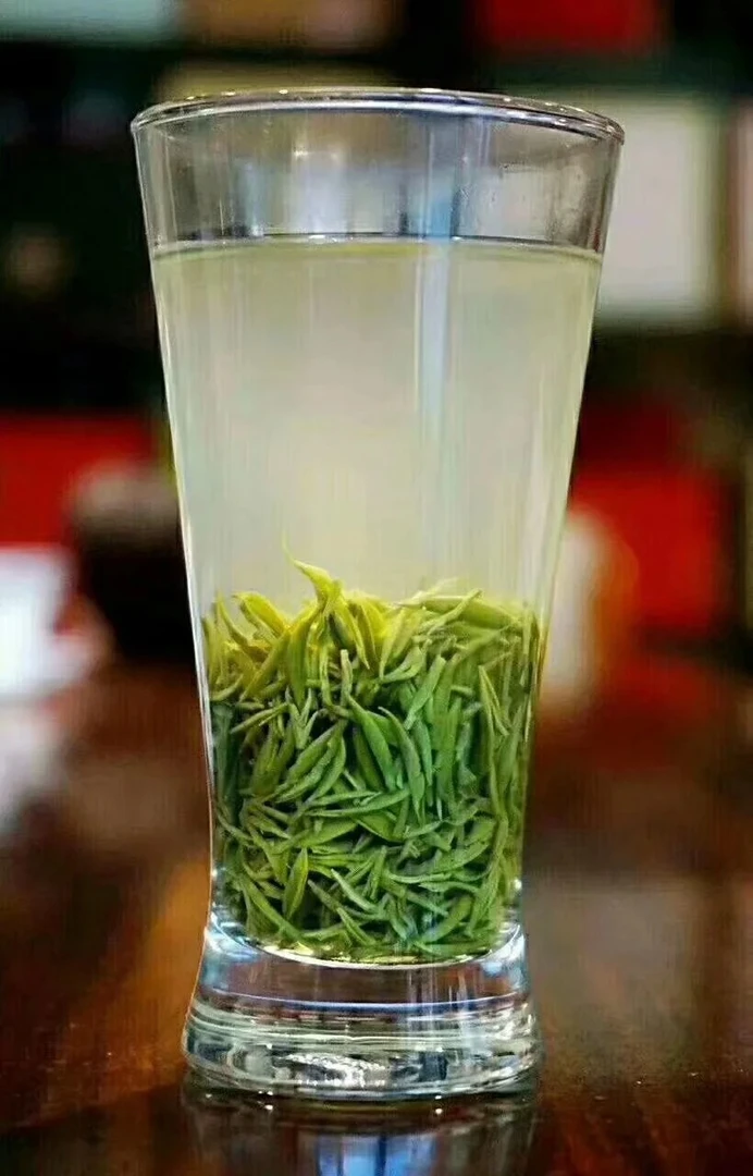 推广价猪猪猴儿石信阳毛尖2025新茶明前早期1000