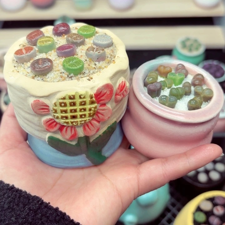 519零下地区记得拍保温箱