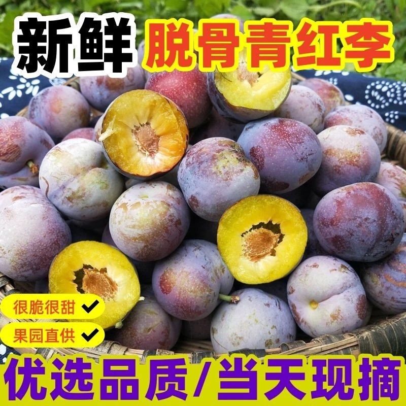 【四斤装】应季高山脱骨李马蹄红脆李高山泉水灌浇新鲜苹李脱骨果