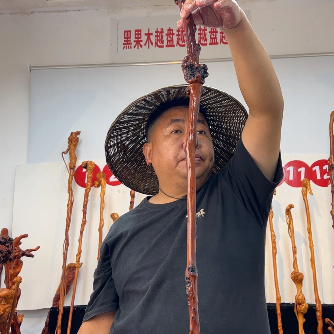 奔***乐黑果木其他黑果木114